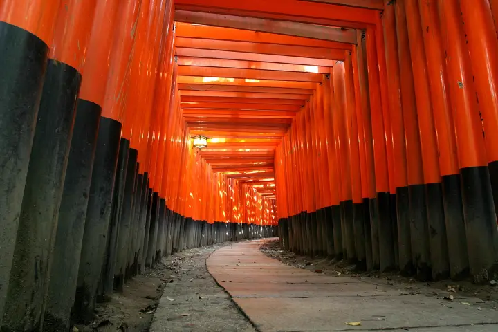 Torii tunnel, Fushimi Inari