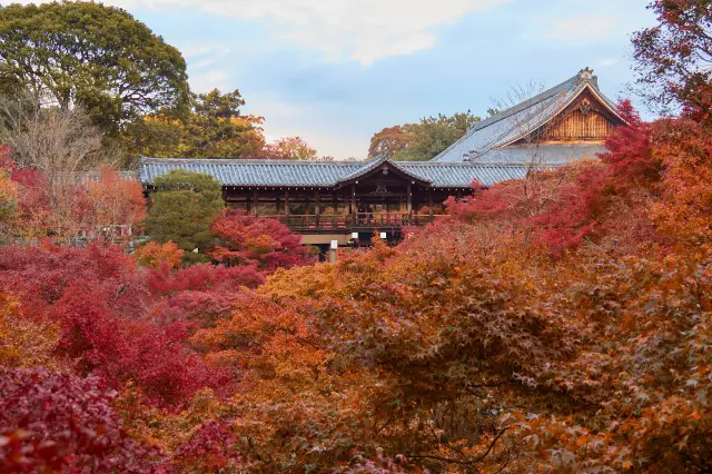 Tofuku-ji (autumn; green maples in May)