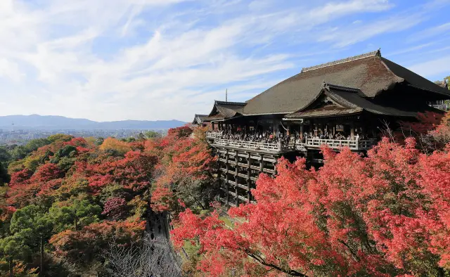 Kiyomizu-dera stage (autumn)
